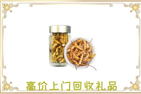 芗城周边回收虫草